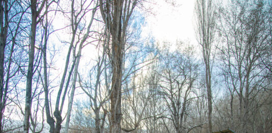 Ruralismo: luchar por una vida mejor