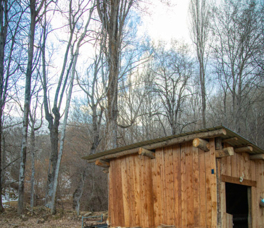 Ruralismo: luchar por una vida mejor