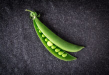 ¡Ya puedes leer Agro Magazine 116 #febrero!