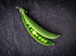 ¡Ya puedes leer Agro Magazine 116 #febrero!