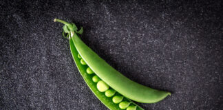 ¡Ya puedes leer Agro Magazine 116 #febrero!