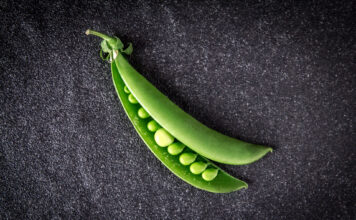 ¡Ya puedes leer Agro Magazine 116 #febrero!