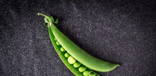 ¡Ya puedes leer Agro Magazine 116 #febrero!