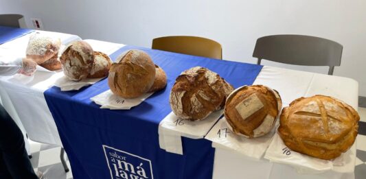 La Térmica acogerá una parada de la ruta para buscar a los 50 mejores panaderos con el impulso de Sabor a Málaga