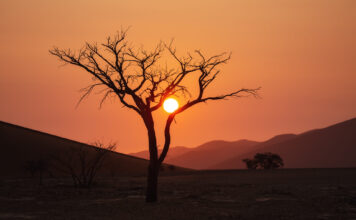 Namibia, el país africano donde el desierto se encuentra con el infinito
