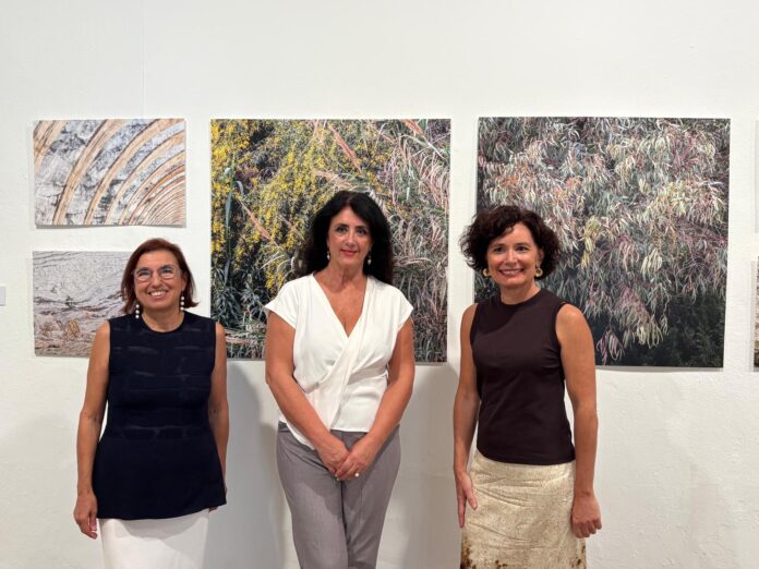 EXPOSICIÓN PETRICOR 2