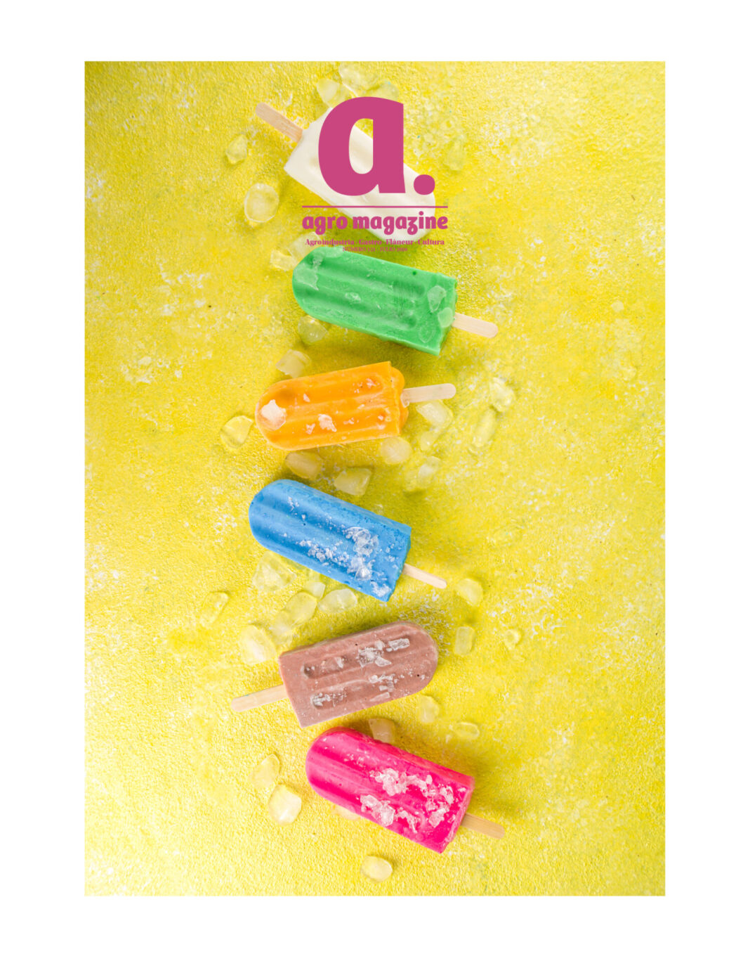 agromagazine121