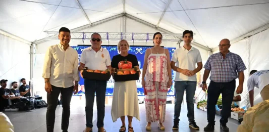 La Diputación impulsa un año más la tradicional subasta del tomate Huevo de Toro en Coín