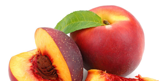 El verano se hace fruta: guía para descubrir cuáles alcanzan ahora su máximo sabor