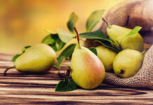 Pera, una fruta entre la historia y la huerta