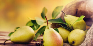 Pera, una fruta entre la historia y la huerta