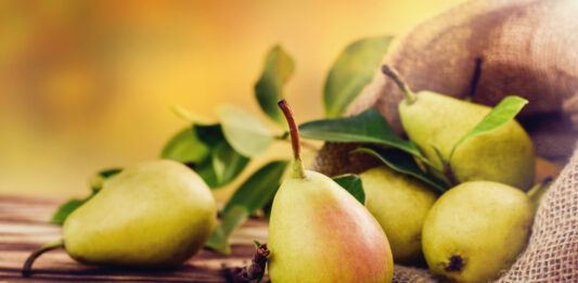 Pera, una fruta entre la historia y la huerta