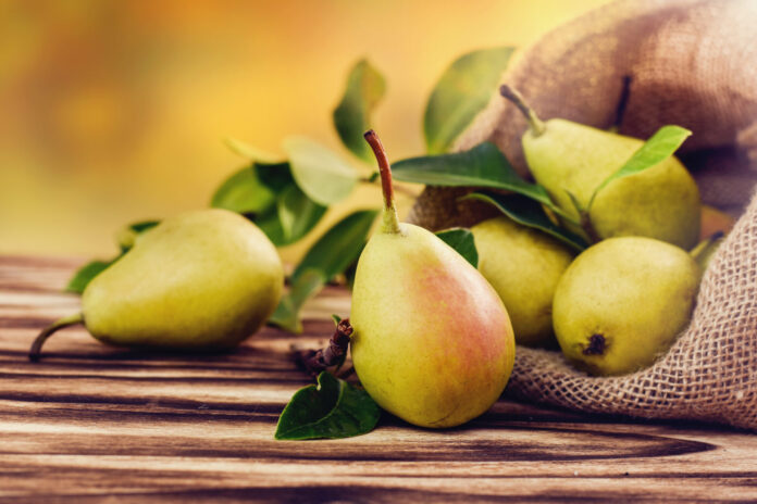 Fresh,Ripe,Organic,Pears,On,Rustic,Wooden,Table