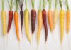 Zanahorias de colores: la huerta que cambia de tonalidad