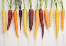 Zanahorias de colores: la huerta que cambia de tonalidad
