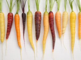 Zanahorias de colores: la huerta que cambia de tonalidad
