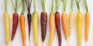 Zanahorias de colores: la huerta que cambia de tonalidad
