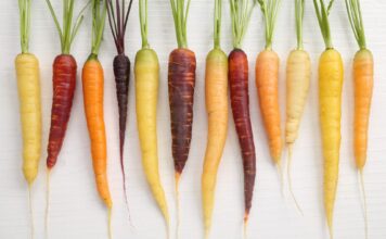 Zanahorias de colores: la huerta que cambia de tonalidad