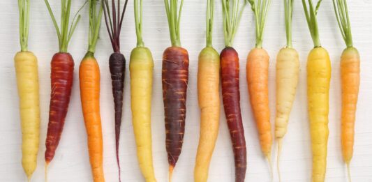 Zanahorias de colores: la huerta que cambia de tonalidad