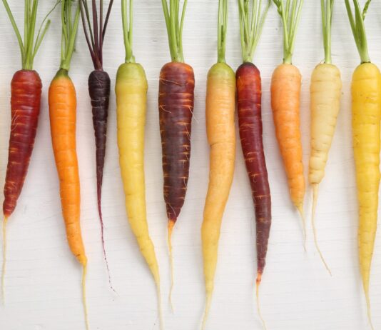 Zanahorias de colores: la huerta que cambia de tonalidad