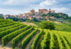 Piamonte: el otoño que se saborea entre viñedos y trufas