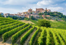 Piamonte: el otoño que se saborea entre viñedos y trufas