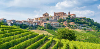 Piamonte: el otoño que se saborea entre viñedos y trufas