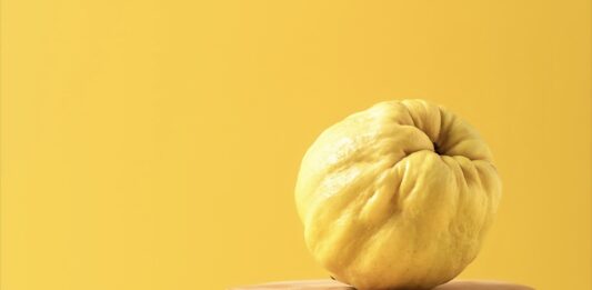 ¡Ya puedes leer Agro Magazine 123 #septiembre!