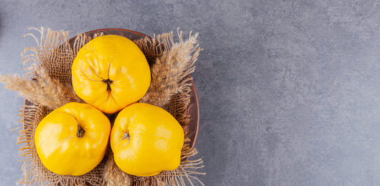 Membrillo: el fruto que anuncia el otoño