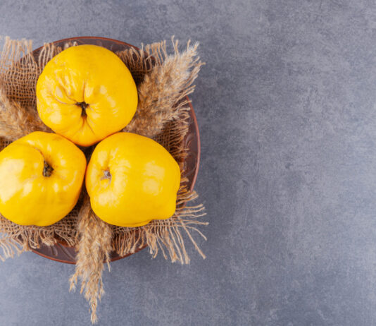 Membrillo: el fruto que anuncia el otoño
